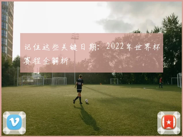 记住这些关键日期：2022年世界杯赛程全解析