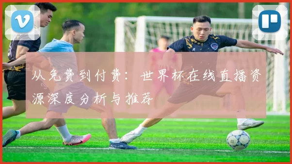 从免费到付费:世界杯在线直播资源深度分析与推荐