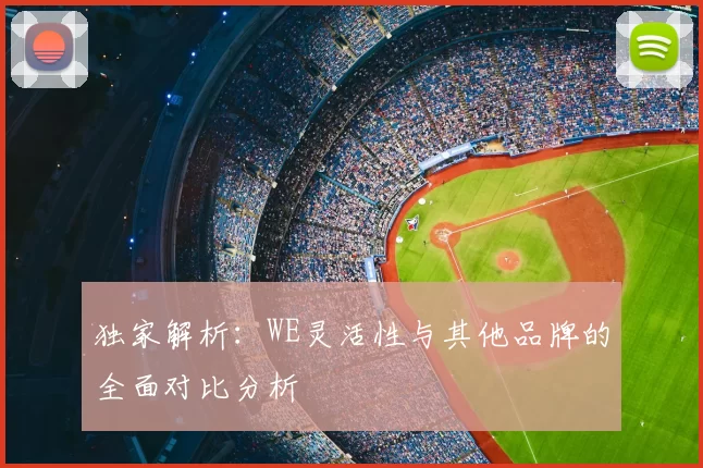独家解析:WE灵活性与其他品牌的全面对比分析