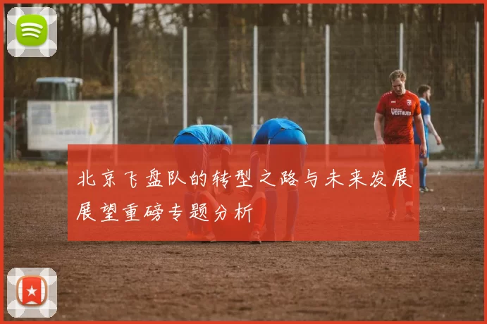 北京飞盘队的转型之路与未来发展展望重磅专题分析