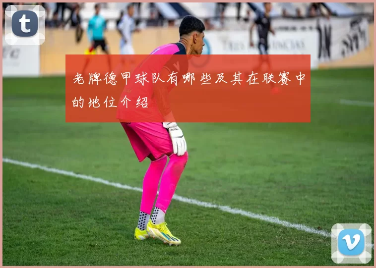 老牌德甲球队有哪些及其在联赛中的地位介绍