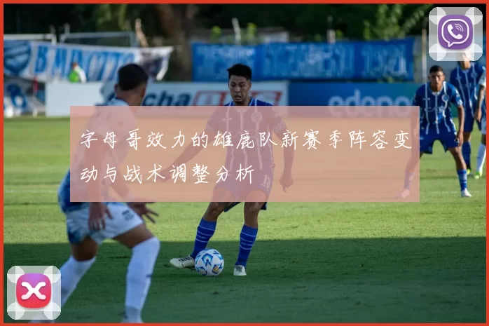 字母哥效力的雄鹿队新赛季阵容变动与战术调整分析