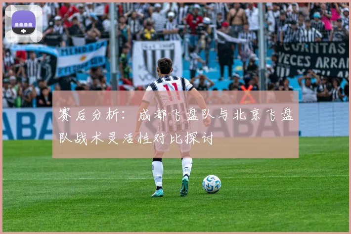 赛后分析：成都飞盘队与北京飞盘队战术灵活性对比探讨
