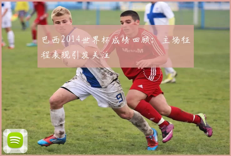 巴西2014世界杯成绩回顾:主场征程表现引发关注