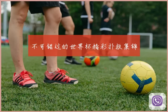 不可错过的世界杯精彩扑救集锦
