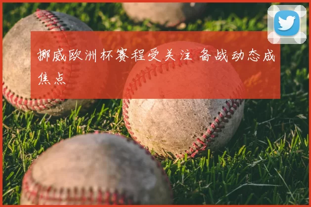 挪威欧洲杯赛程受关注 备战动态成焦点