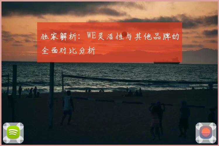 独家解析:WE灵活性与其他品牌的全面对比分析