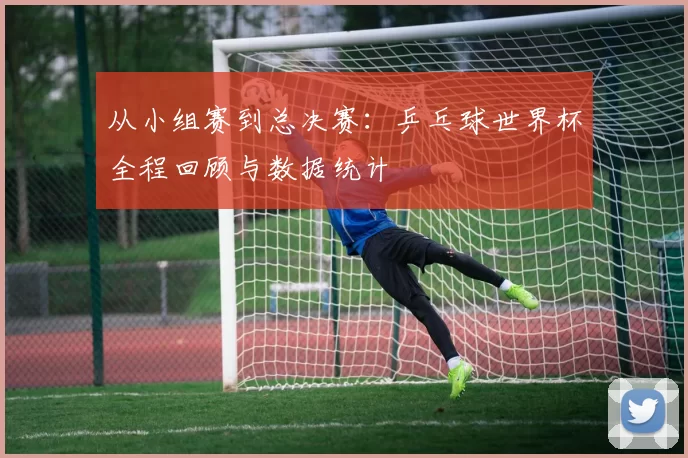 从小组赛到总决赛:乒乓球世界杯全程回顾与数据统计