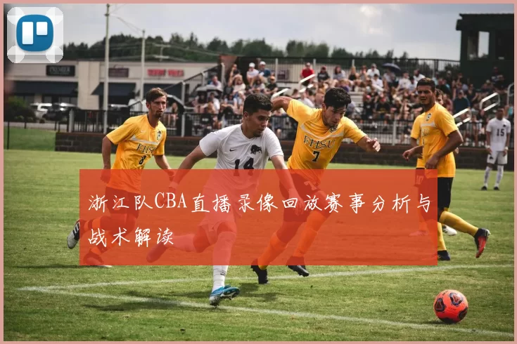 浙江队CBA直播录像回放赛事分析与战术解读