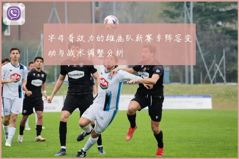 字母哥效力的雄鹿队新赛季阵容变动与战术调整分析