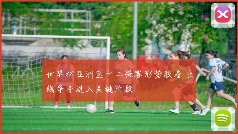 世界杯亚洲区十二强赛形势胶着 出线争夺进入关键阶段