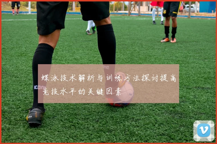 蝶泳技术解析与训练方法探讨提高竞技水平的关键因素