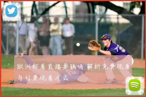 欧洲杯看直播要钱吗 解析免费观看与付费观看方式