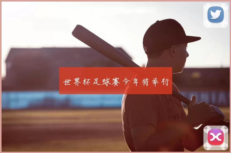 世界杯足球赛今年将举行