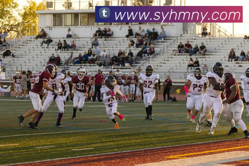 爱游戏体育服务体系